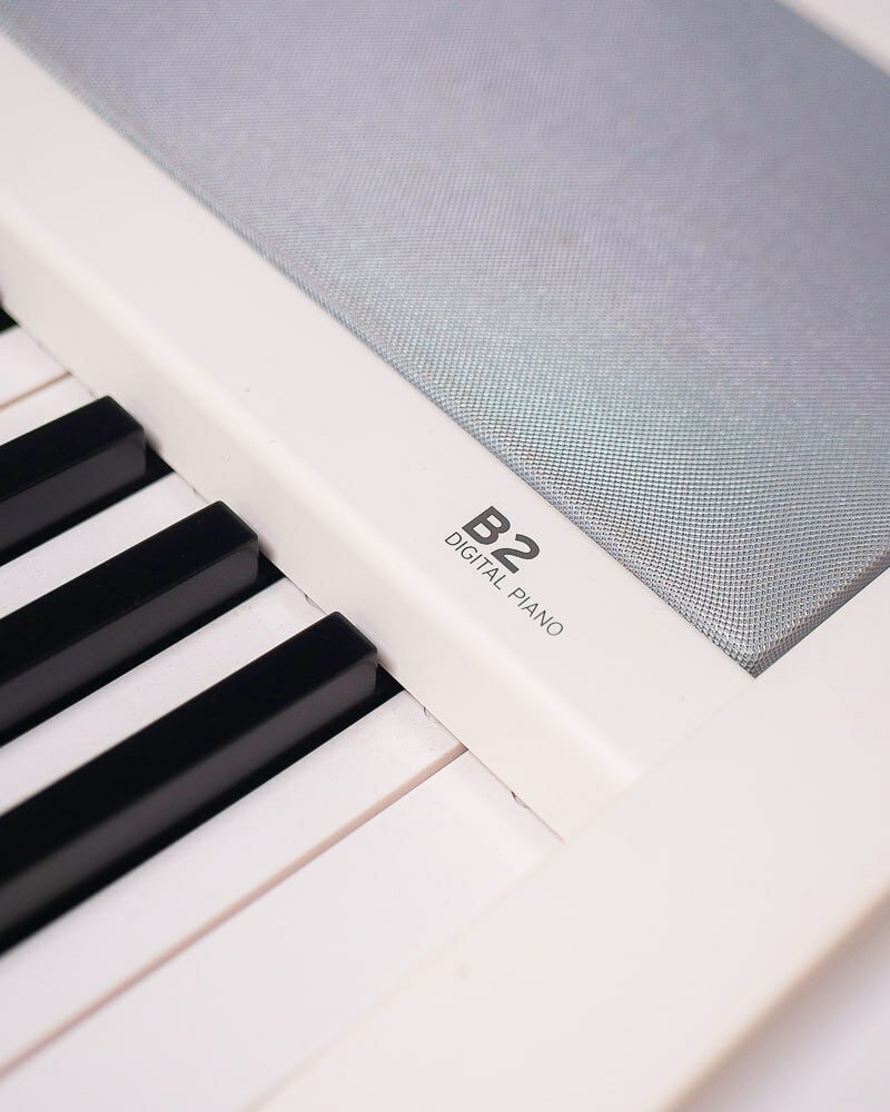 Синтезатор и миди-клавиатура Korg - фото №8