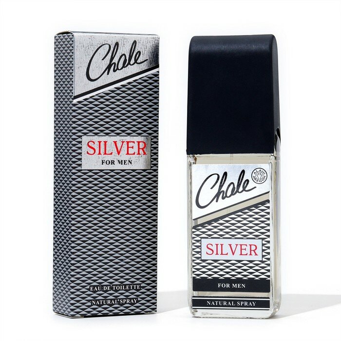 Positive parfum Туалетная вода мужская Chale Silver, 100 мл