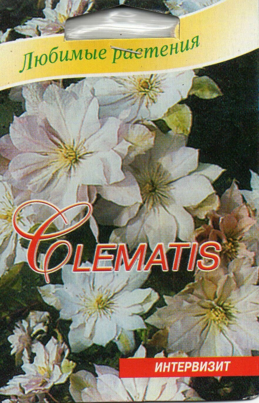 Клематис Violet Elizabeth семена
