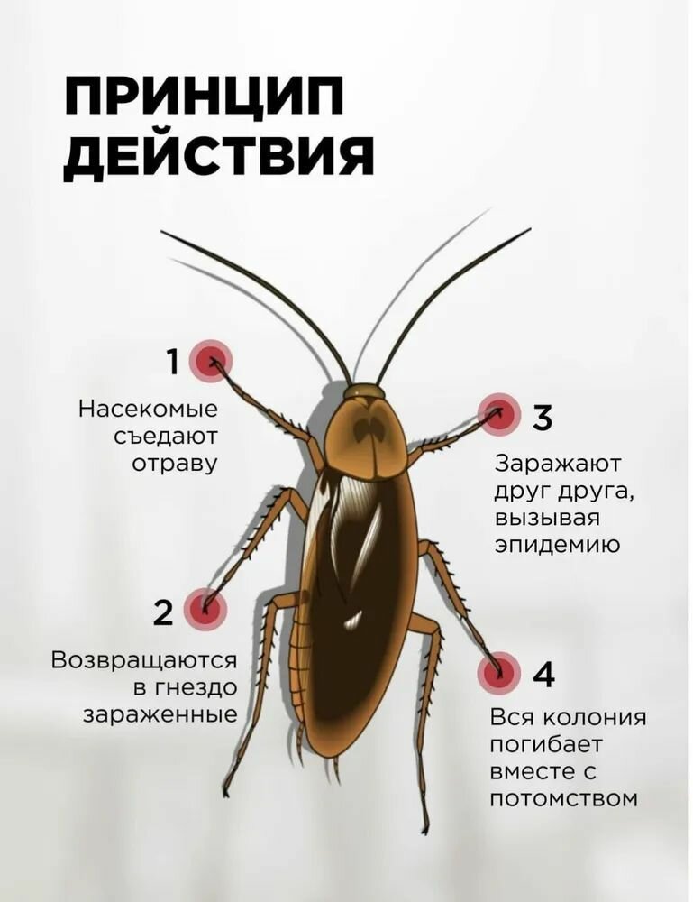 Средство от тараканов 10 пачек / китайская приманка отрава от прусаков - фотография № 2