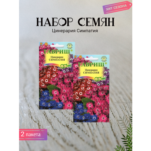 Цветы Цинерария Симпатия, смесь 2 пакета по 8шт семян цветы кактусы смесь элита 2 пакета по 0 1г семян