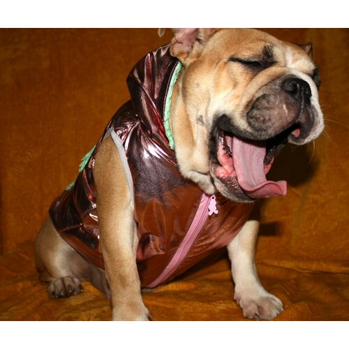 Одежда для собак средних и малых пород жилет