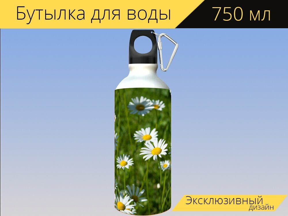 Бутылка фляга для воды "Ромашки, луговые ромашки, луговые цветы" 750 мл. с карабином и принтом