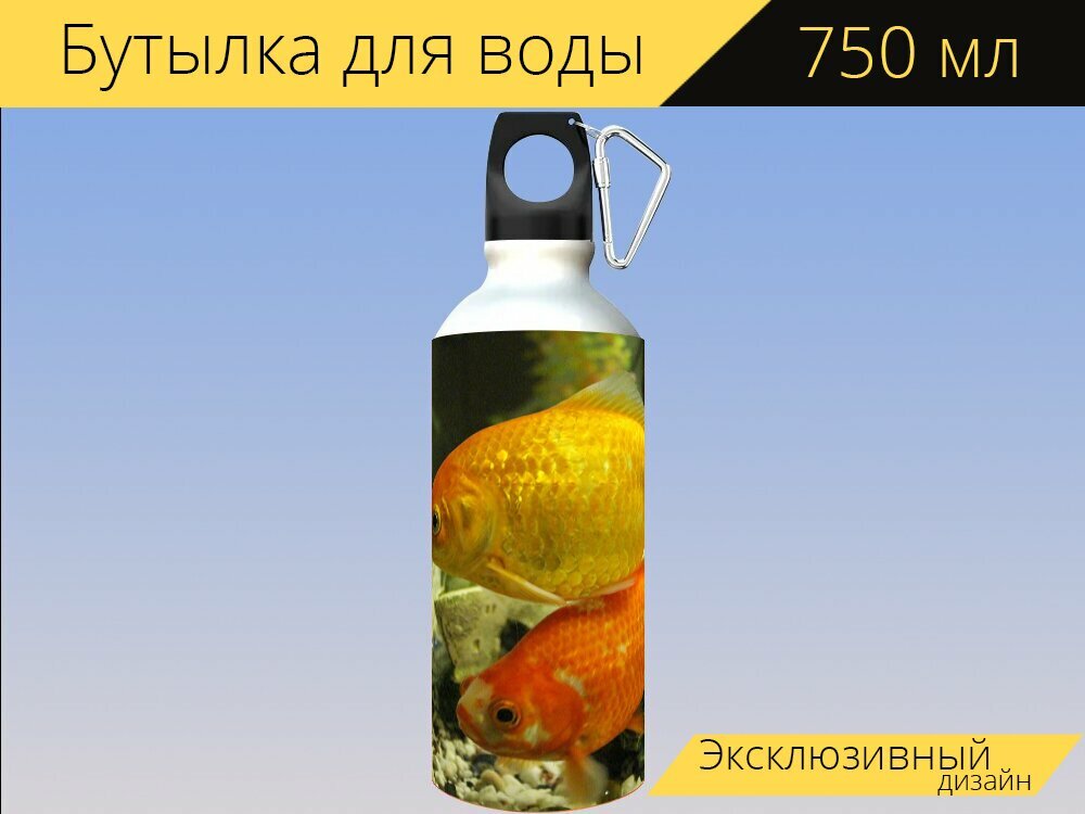 Бутылка фляга для воды "Золотая рыбка, рыбы, плавать" 750 мл. с карабином и принтом