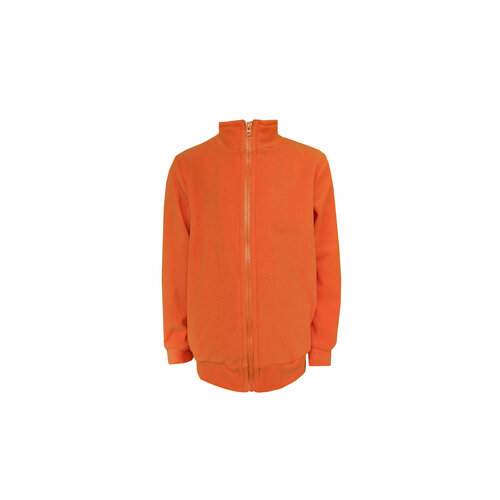 Толстовка Детрик, размер 110, оранжевый футболка детрик хлопок размер 110 серый