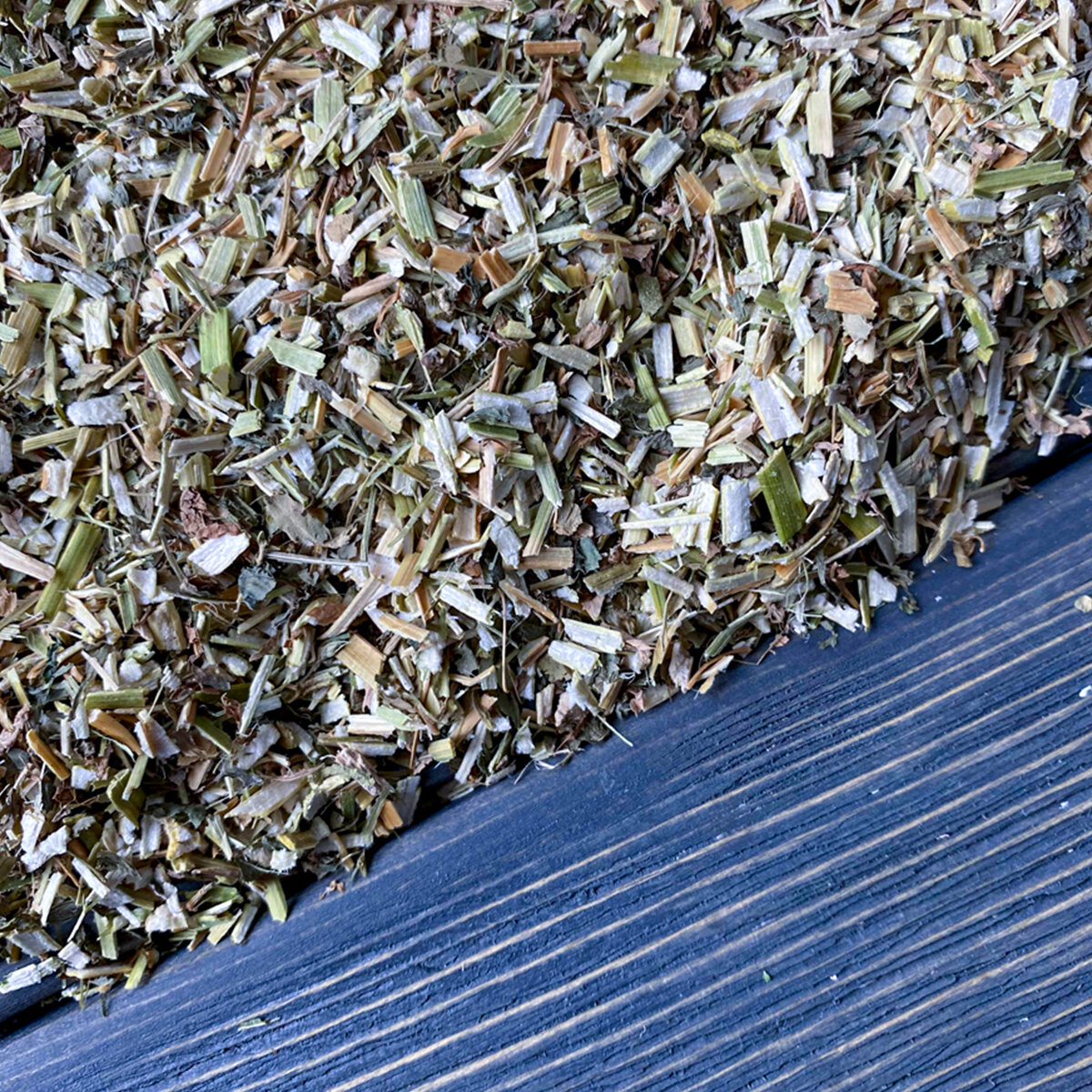 Донник трава — фото 1