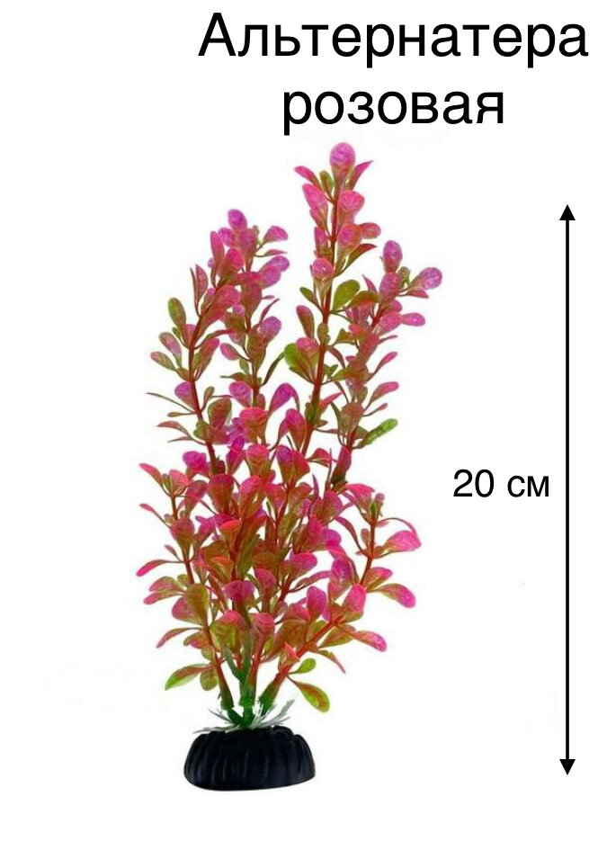 фото Растение искусственное для аквариума Эхинодорус 20 см