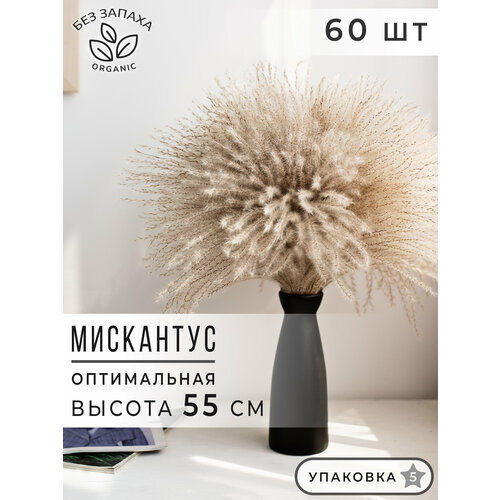 Мискантус Пампасная трава бежевая 60 шт, Сухоцветы для декора ARANTA, Букет 55 см