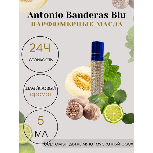 Масляные духи Tim Parfum Blue, мужской аромат, 5мл blue lady масляные духи 5мл