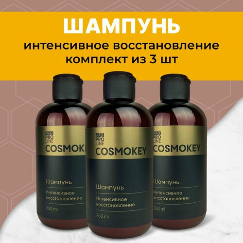 Cosmokey / Космокей Шампунь для поврежденных, ломких и сухих волос 