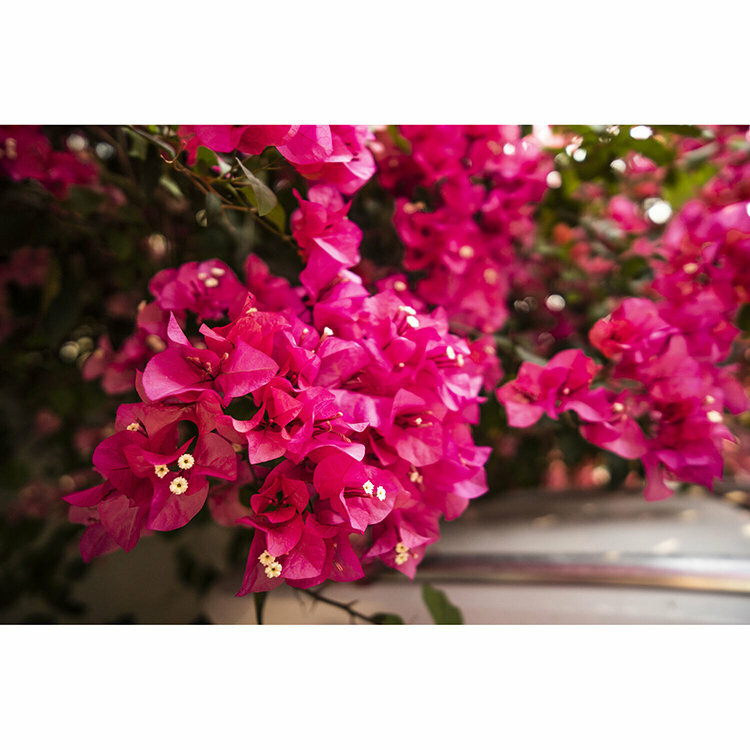 Объектив Viltrox AF 13mm F1.4 E-mount AF 13/1.4 E — фото 7