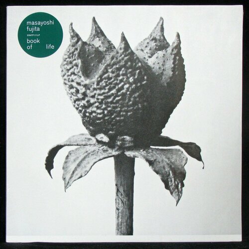 Виниловая пластинка Erased Tapes Masayoshi Fujita – Book Of Life