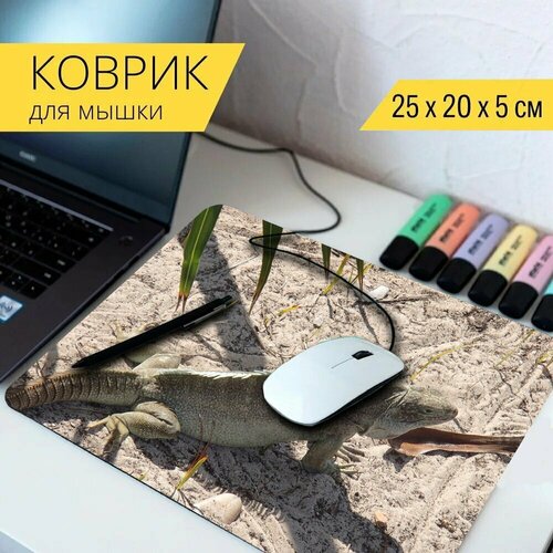 Коврик для мыши с принтом Игуана, игуана остров, теркс и кайкос 25x20см. магнитный пазл игуана игуана остров теркс и кайкос на холодильник 27 x 18 см