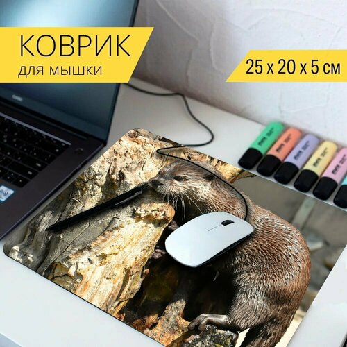 Коврик для мыши с принтом Выдра, игривый, играть 25x20см.