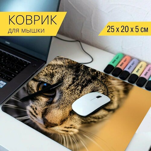 Коврик для мыши с принтом Кошка, животное, тигр 25x20см. коврик для мыши с принтом тигр белый тигр кошка 25x20см