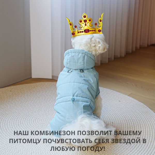 Комбинезон для собак мелких и средних пород, цвет голубой, размер S - фотография № 10