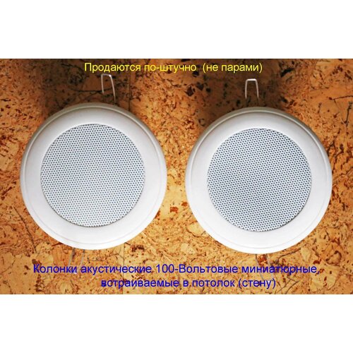 Акустика круглая встраиваемая в потолок стену 100-Вольтовая колонка GelllingSpeaker Public Adress Systems W 246400₽