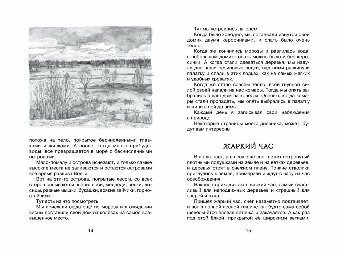 Лисичкин хлеб — фото 1