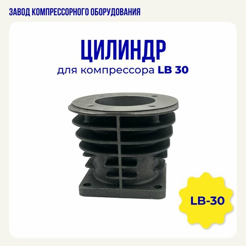 Цилиндр для компрессора LB30