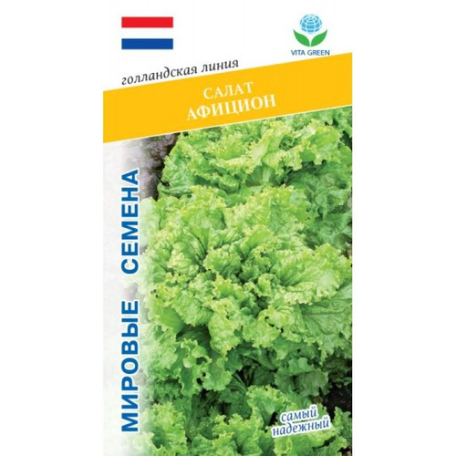 Салат Афицион, 0,1 г. семян, VITA GREEN семена дом семян салат афицион рз 0 05г 30 шт