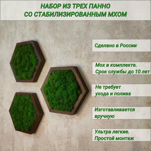 Декор для дома на стену , Панно со стабилизированным мхом , соты см, цвет венге