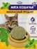 Кошачья мята, игрушка-лакомство для кошек и котов