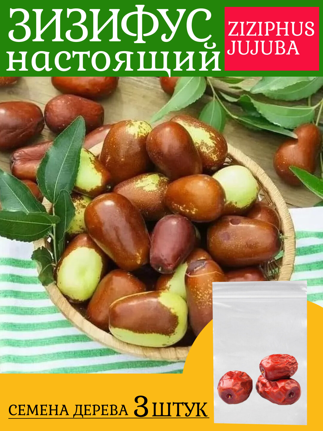 Семена Зизифус, 3 шт, Зизифус настоящий (Унаби) / Китайский финик