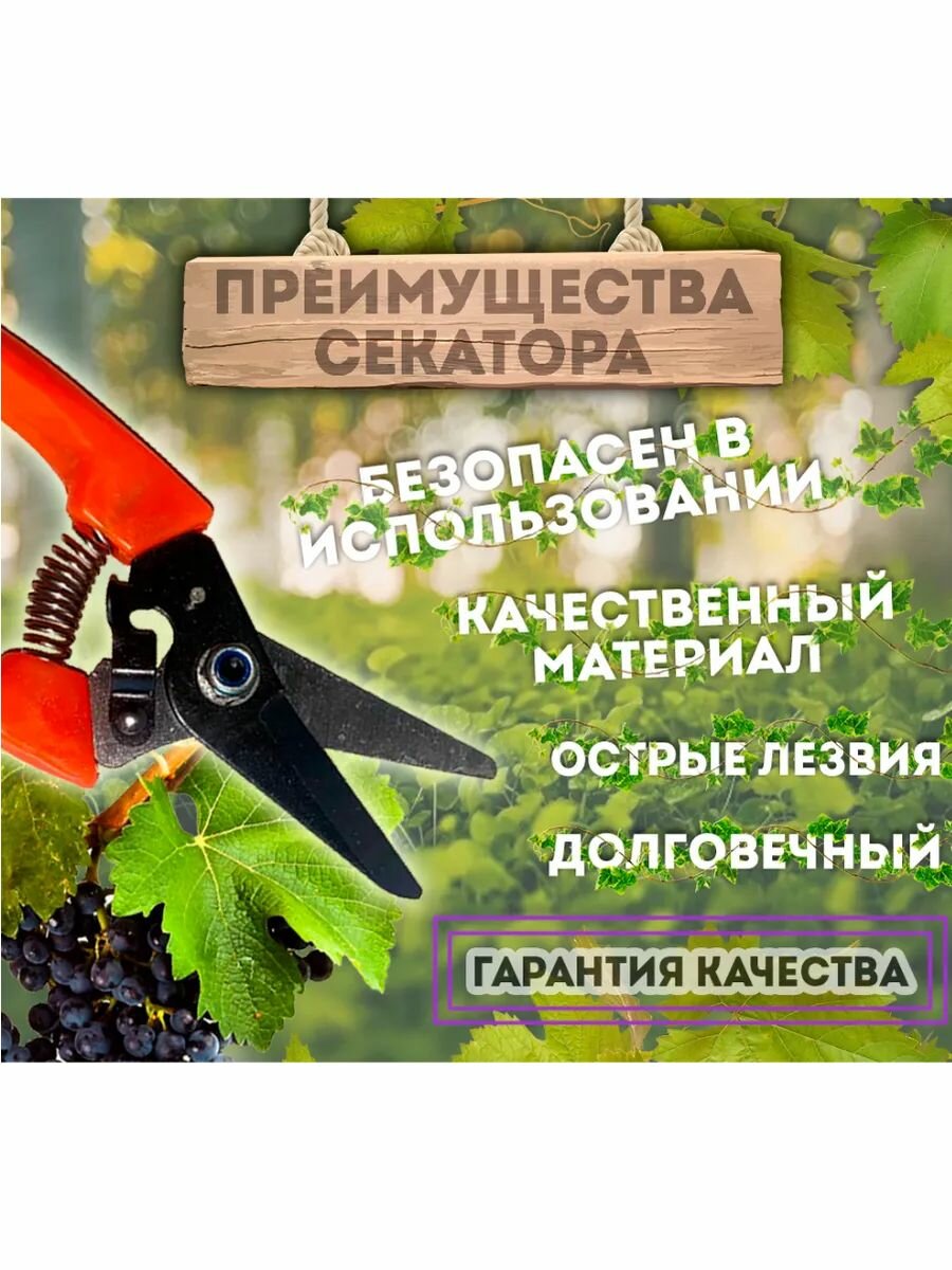 Секатор техпром S 5037/1, нержавеющая сталь, красно-оранжевый — фото 1