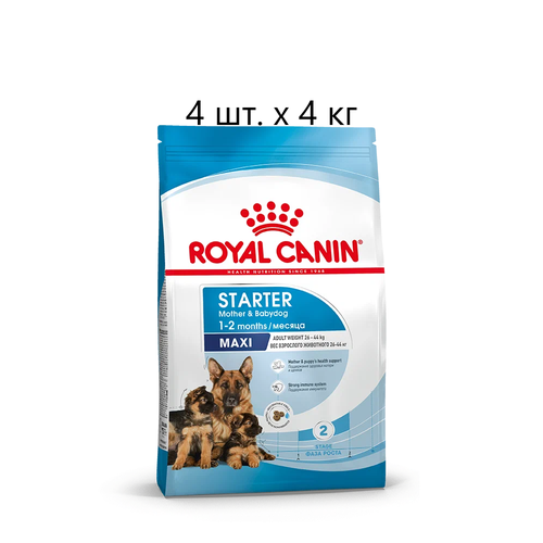 Сухой корм для собак в конце беременности и в период лактации, для щенков Royal Canin Maxi Starter Mother & Babydog, 4 шт. х 4 кг (для крупных пород) сухой корм royal canin mini starter mother