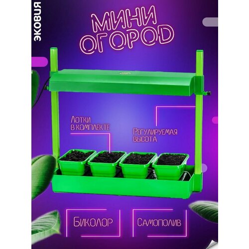 Домашний мини огород, зелёный