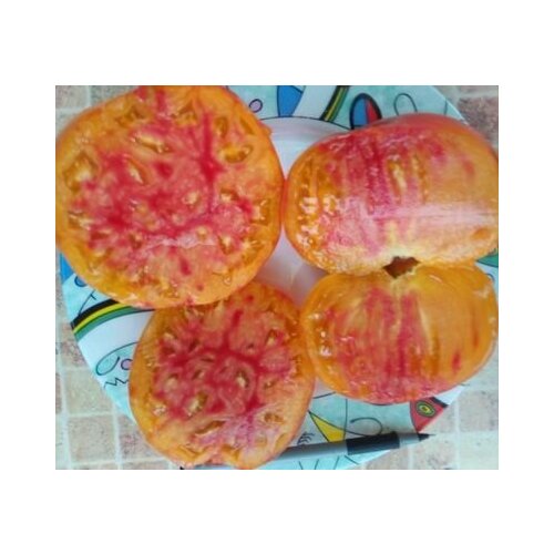Коллекционные семена томата Звёздный из Беллинцоны