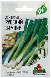 Семена Лук батун Русский зимний, 0.5 г серия ХИТ х3