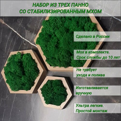 Панно - кашпо на стену со стабилизированным мхом , соты 10, 15, 20 см, бежевые