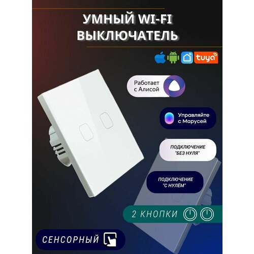 Сенсорный электронный двухклавишный умный wifi выключатель tuya