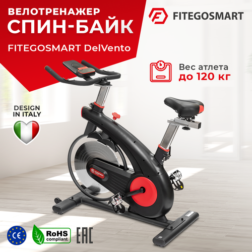 фото Велотренажер fitegosmart delvento / маховик 13 кг / вес пользователя до 120 кг/ умный компьютер / бесступенчатая колодочная система нагружения