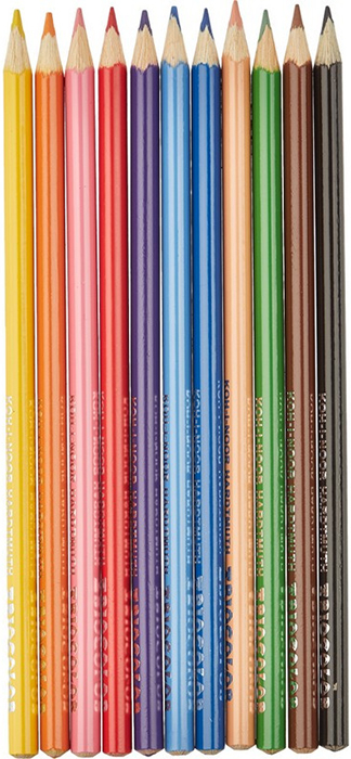 KOH-I-NOOR Набор цветных карандашей Koh-I-Noor Triocolor 3132/12 (12 цветов)