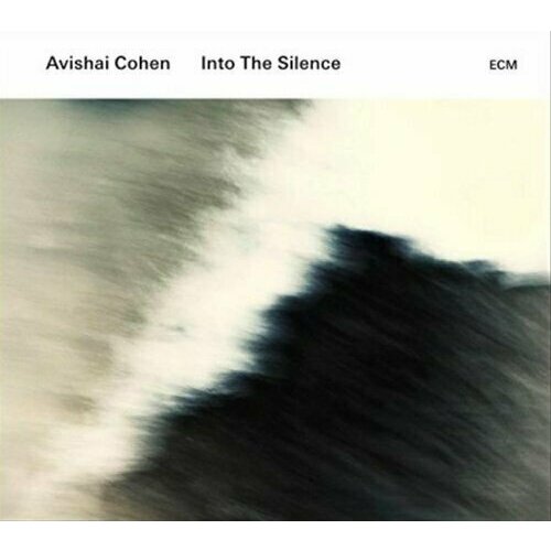 AUDIO CD Avishai Cohen (Trompete): Into The Silence. 1 CD avishai cohen avishai cohen avishai cohen into the silence 2 lp 180 gr