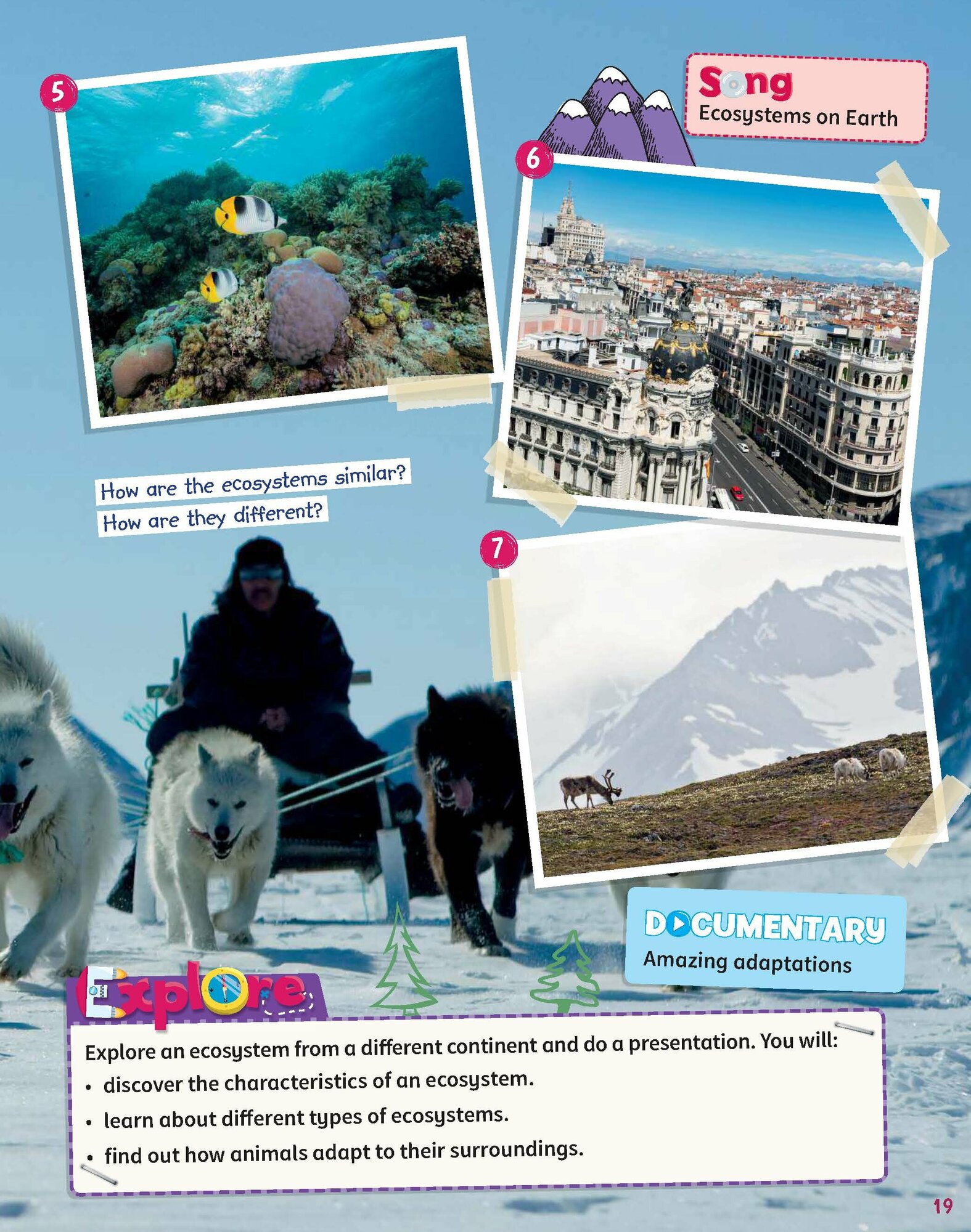 Science Skills. Level 5. Pupil's Book - фото №10
