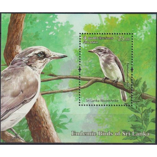 Почтовые марки Шри-Ланка 2021г. Вудшрайк Шри-Ланка Птицы MNH
