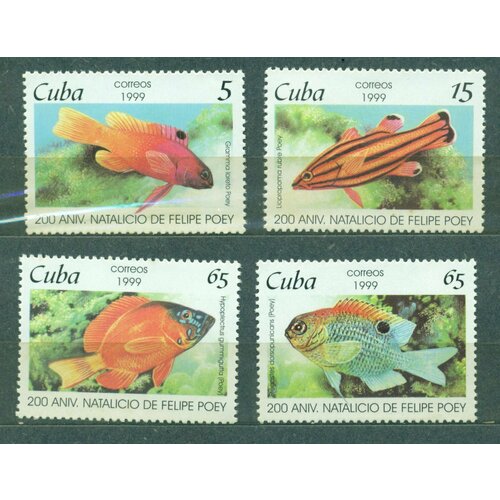 Почтовые марки Куба 1999г. 200-летие со дня рождения Фелипе Пой - Рыба Рыбы MNH