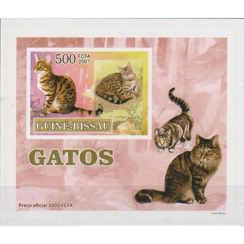Почтовые марки Гвинея-Бисау 2007г. Кошки - люкс блок Кошки MNH гвинея бисау 2007г китайская керамика мл 1