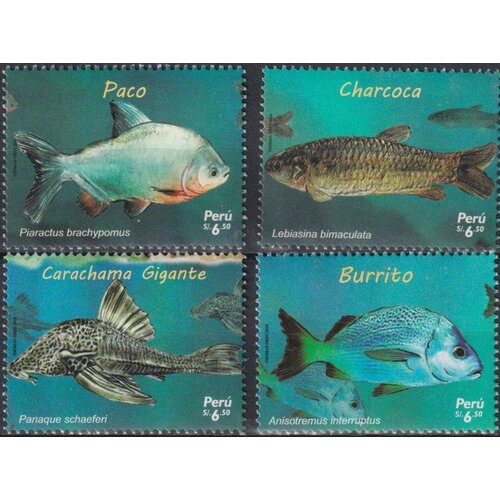Почтовые марки Перу 2017г. Морская жизнь - Рыба Рыбы MNH