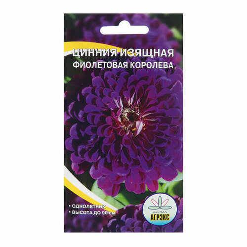 Семена цветов Цинния изящная Фиолетовая королева, 0,2 г