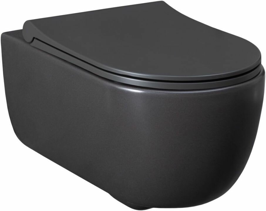 фото Чаша подвесного унитаза Allen Brau Priority 4.31001. AN антрацит