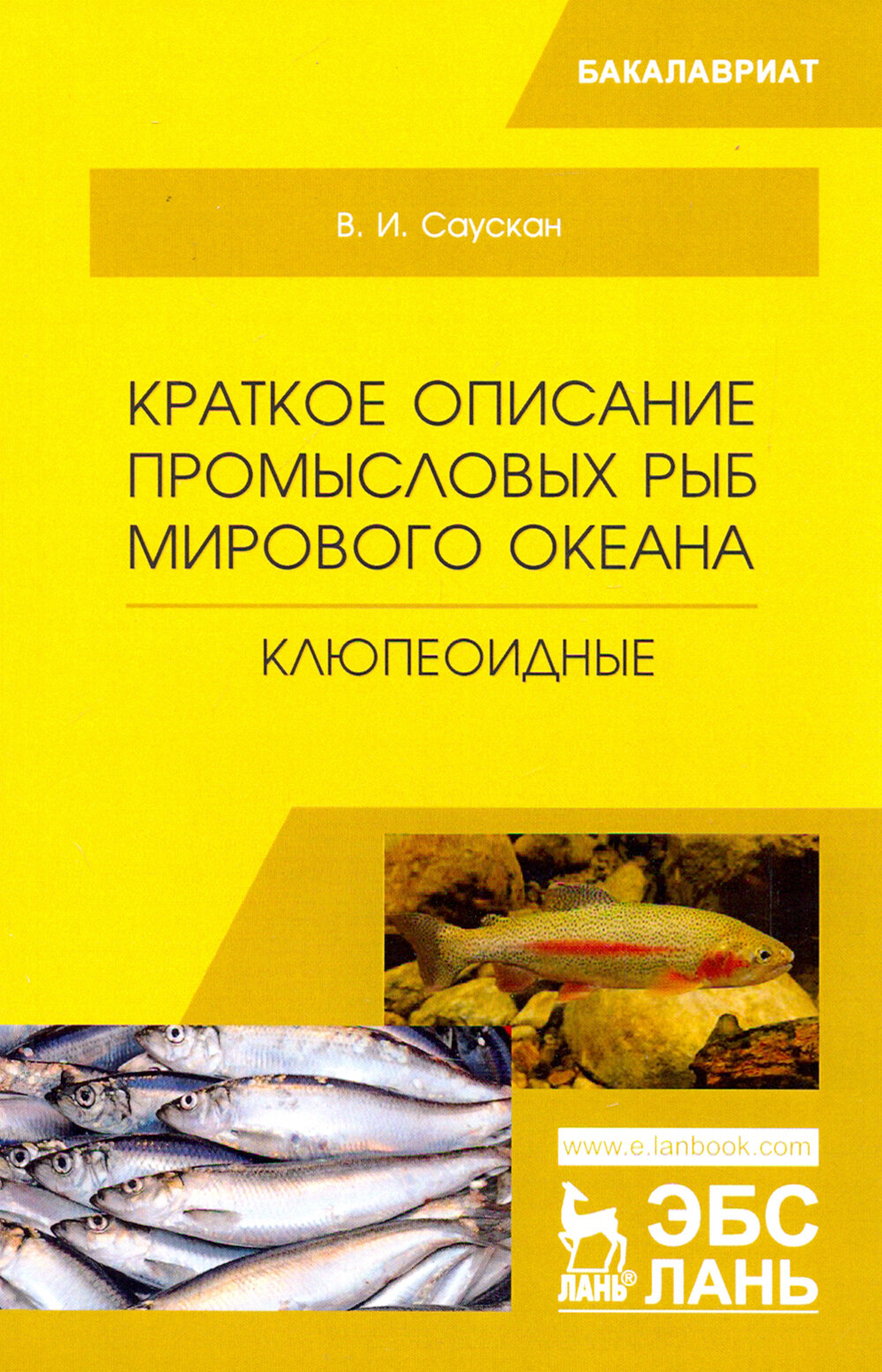 Краткое описание промысловых рыб Мирового океана. Клюпеоидные. Учебное пособие - фото №3