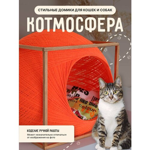 Ярко-оранжевый домик лежанка в форме шара для кошки и собаки в деревянном кубе