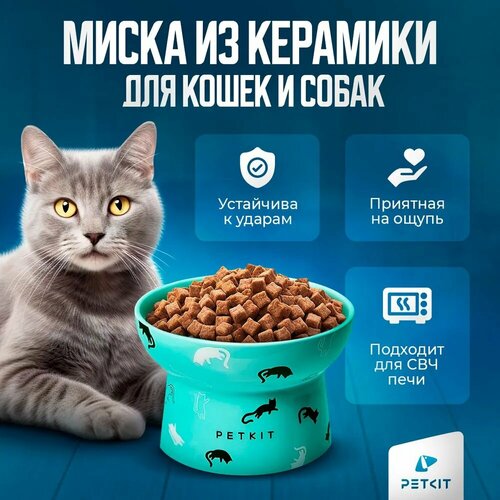 Зеленая керамическая миска XL для кошек и собак PETKIT