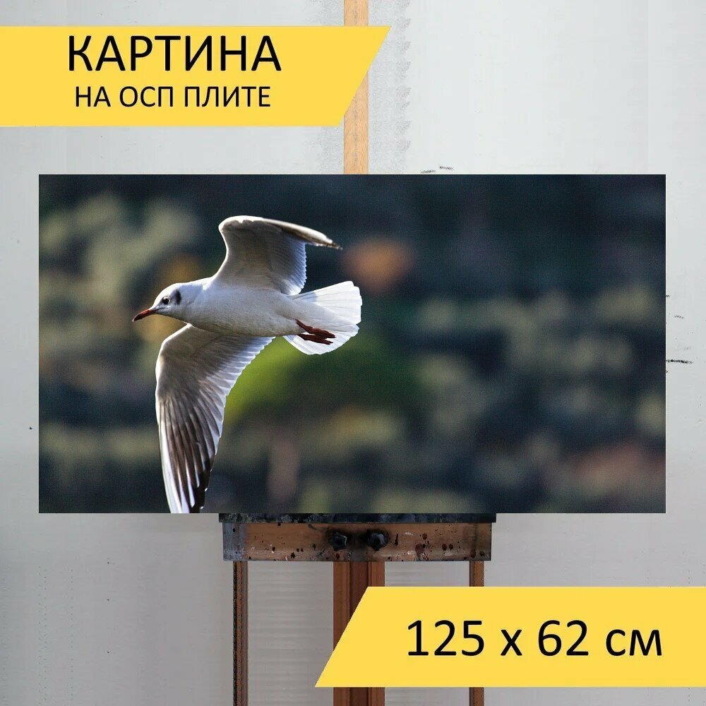 Картина на ОСП 125х62 см. "Чайка, птица, летающий" горизонтальная, для интерьера, с креплениями