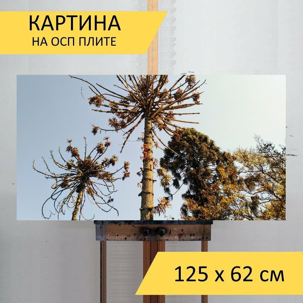 Картина на ОСП 125х62 см. 