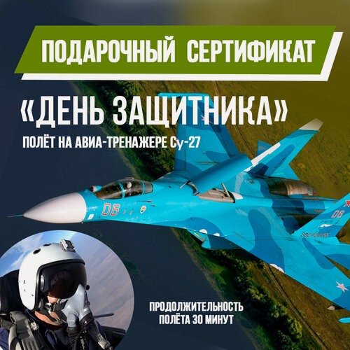 Изображение товара Подарочный сертификат полет на авиатренажере СУ-27, "День защитника", 30 минут, 4600